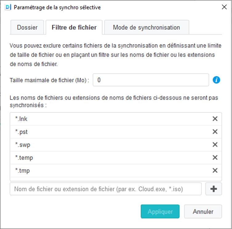 Dialogue permettant d'ignorer la synchronisation de fichiers selon leur taille ou leur type